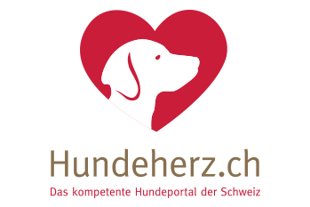 Mitglied bei: