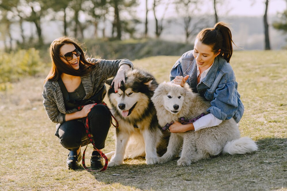 Nutrition 101: Feeding Your Dog a Balanced Diet