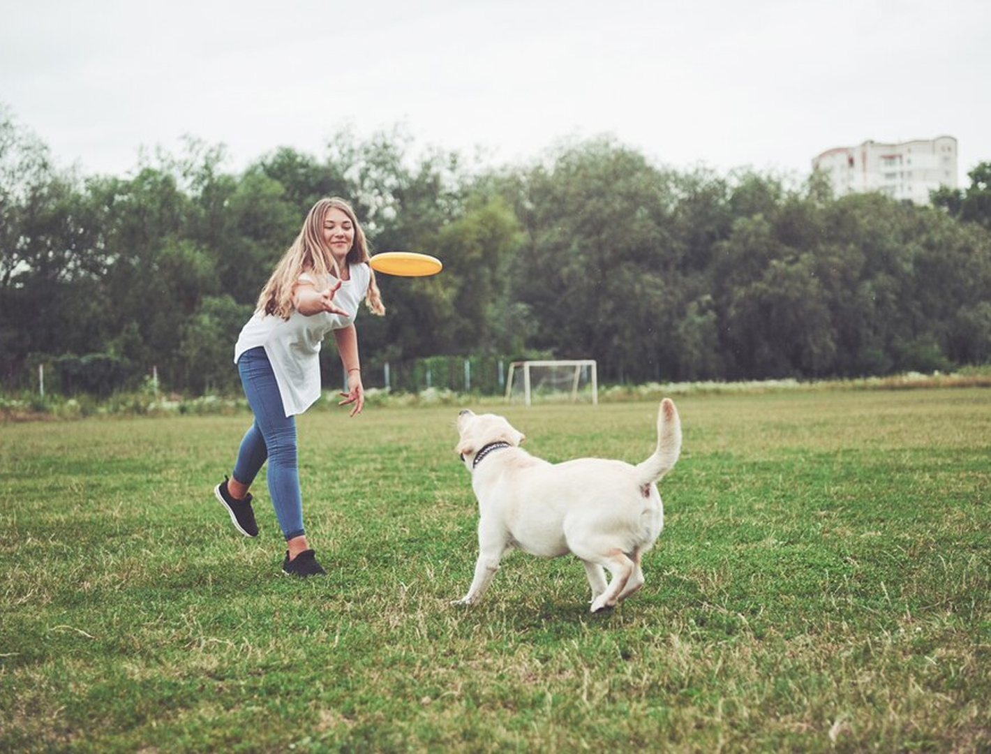 Nutrition 301: Feeding Your Dog a Balanced Diet