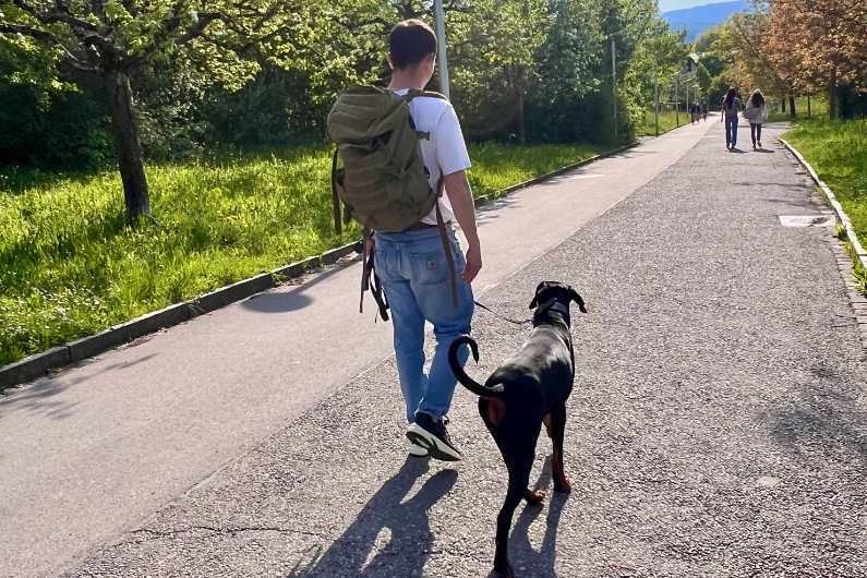 BASICS: dein Start ins faire Hundetraining